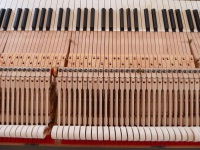 Draufsicht Flügelmechanik
