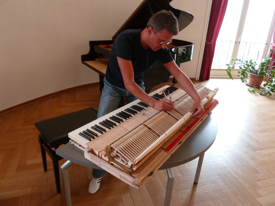 Stimmen eines Steinway Flügel, Klavierstimmer Daniel Simon Sikarew, Berlin, Justieren der Federkraft